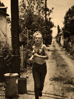 marilynruns (1)